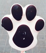 熊爪雪糕