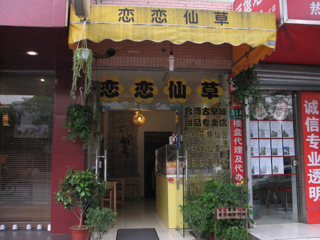恋恋仙草