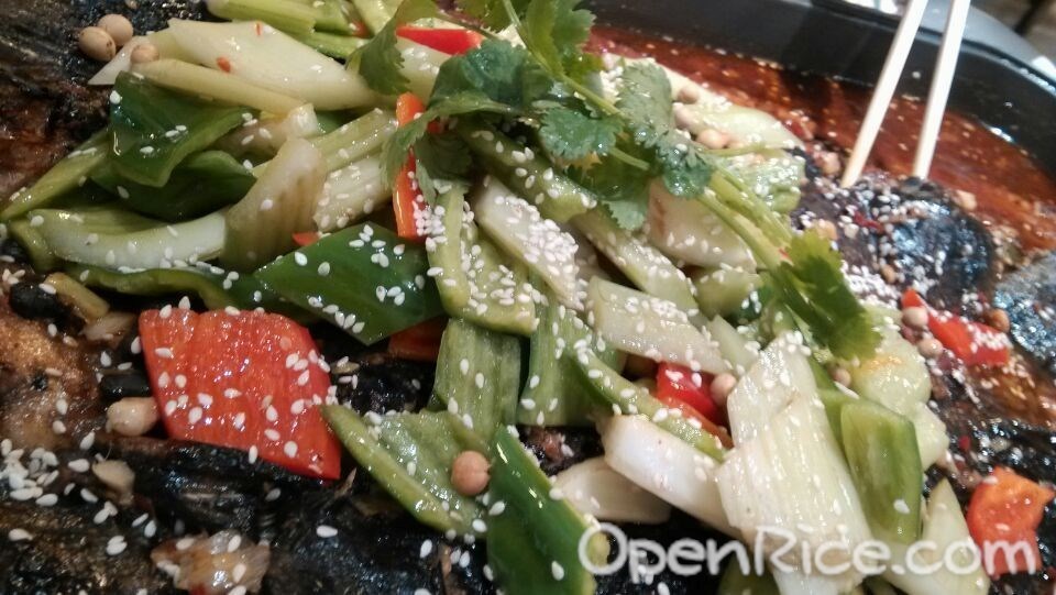 诸葛烤鱼