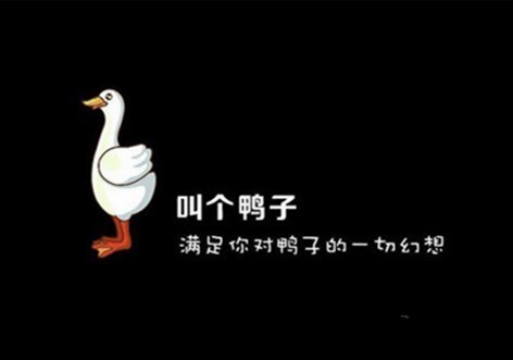 叫个鸭子外卖
