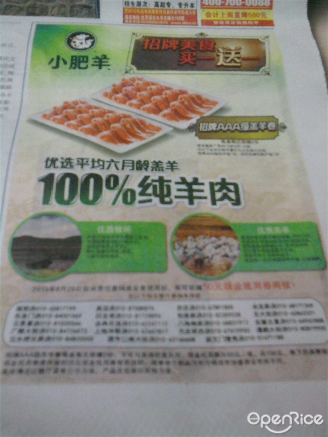 小肥羊