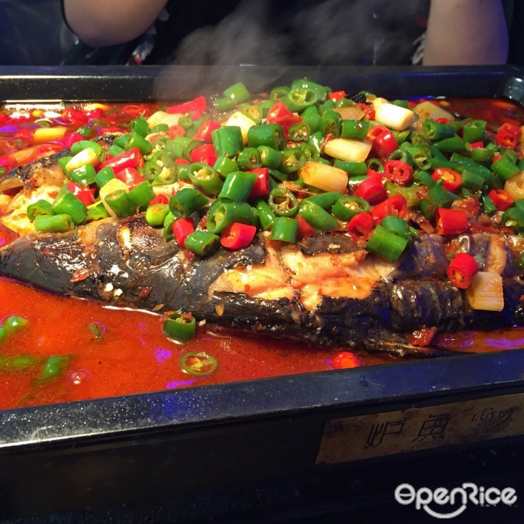 炉鱼