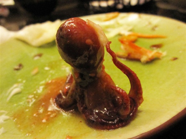 小章鱼