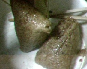 粽子