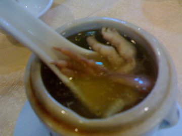 乡下仔炖老鸽