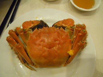 正