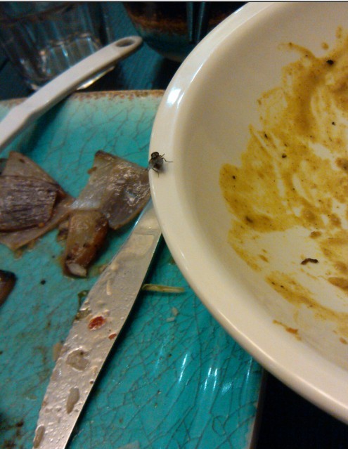 加菜来了,苍蝇一只