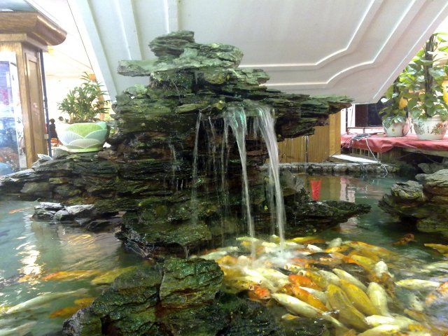 鱼池