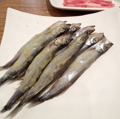 多春鱼