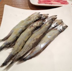 多春鱼