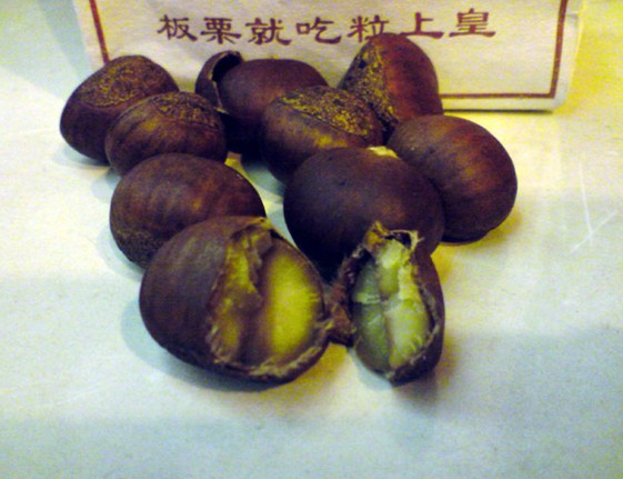 栗子
