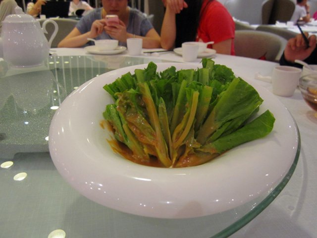 凤尾