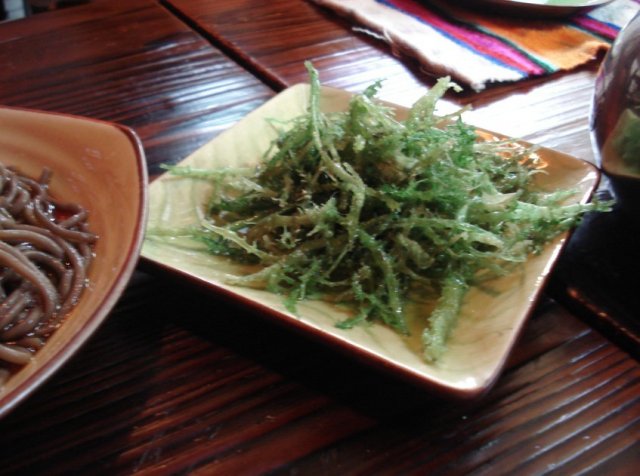 鹿角菜