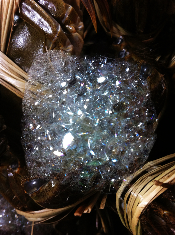 是不是呕得泡越大就越新鲜活泼呢?