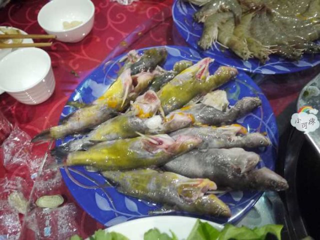 黄辣丁
