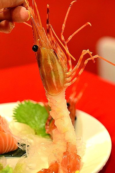 正