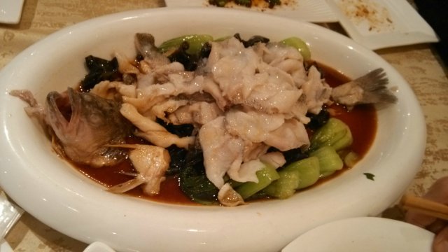 翡翠鲈鱼