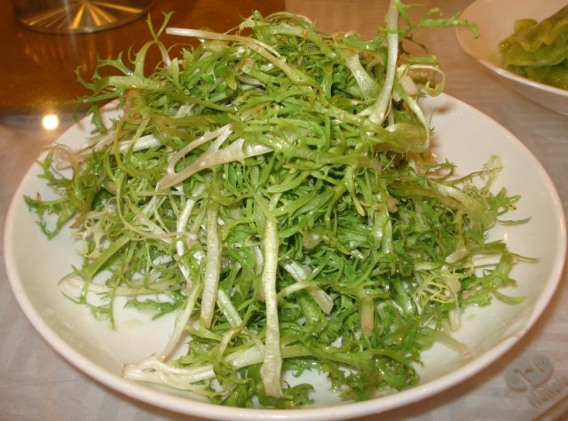 苦蕨
