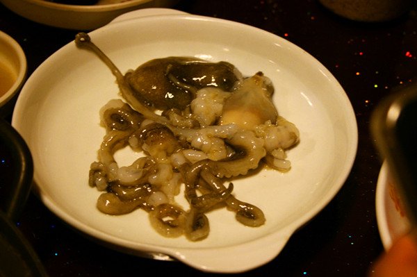 活章鱼