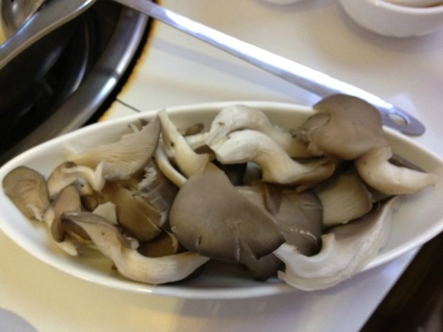 平菇