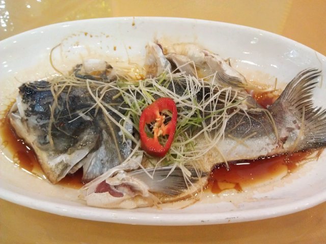 清蒸缩骨鱼