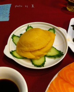 素鲍鱼