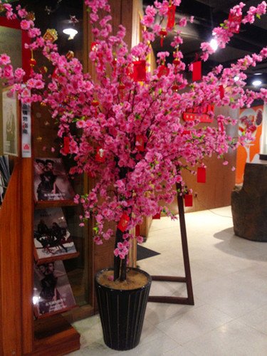 桃花朵朵开