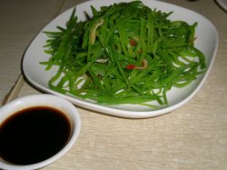 北极贝荷兰豆
