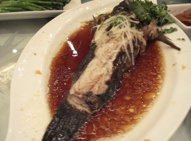 豉油皇笋壳鱼