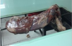刚上来的羊腿