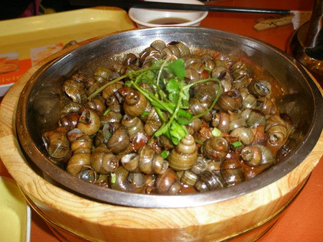 酱香螺丝