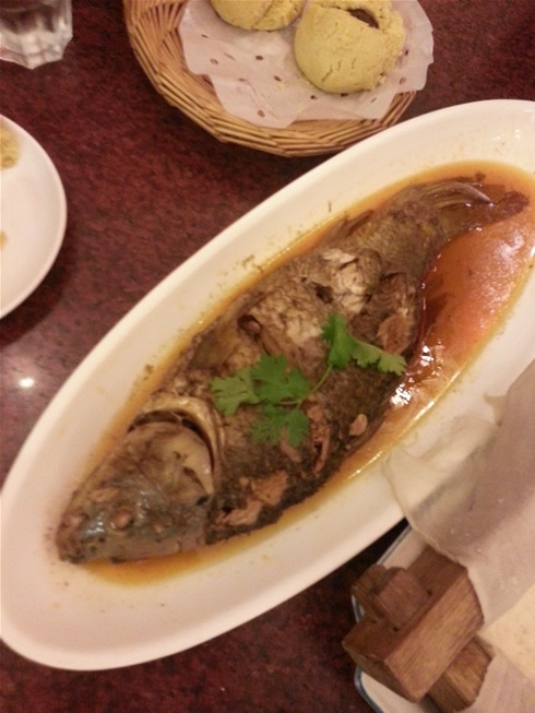 功夫鱼