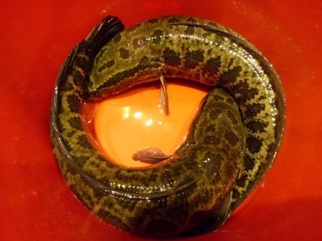 正