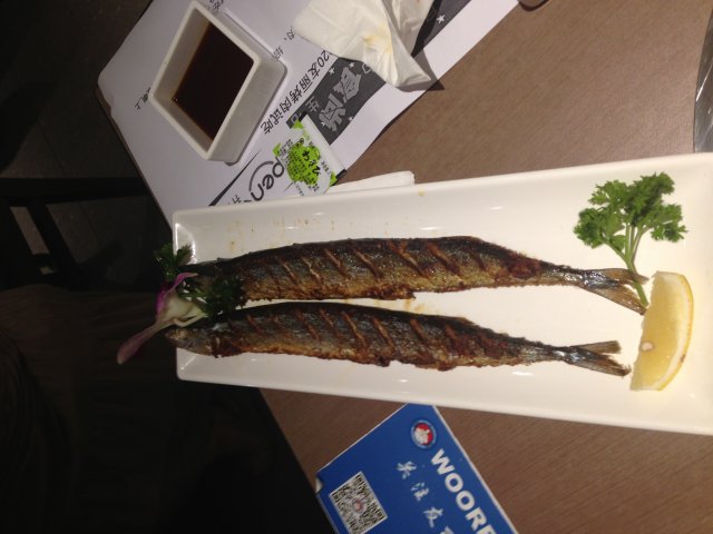 球刀鱼