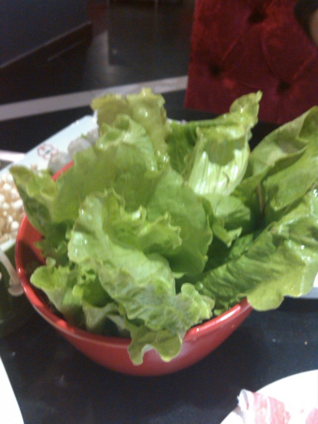 生菜 