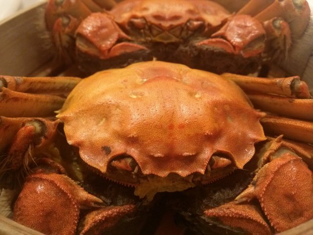 大闸蟹