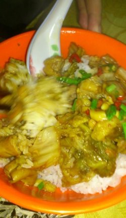 酸菜肥肠盖饭