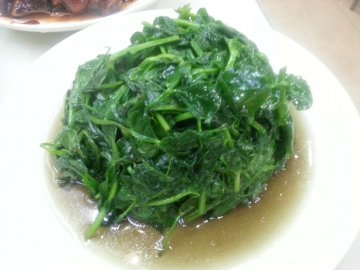 豆苗