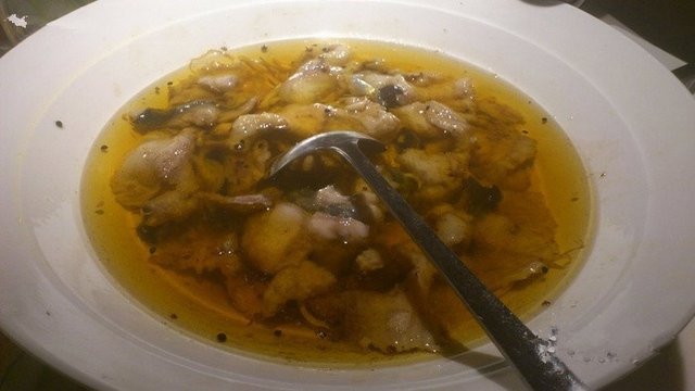 鲶鱼