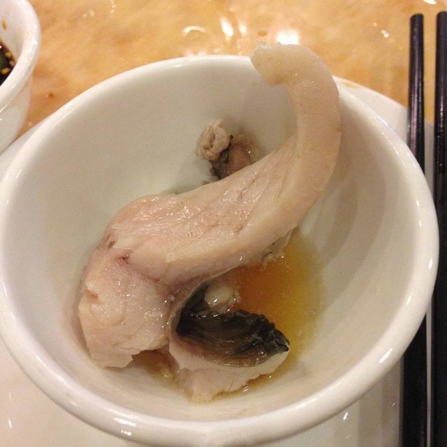 脆肉魭