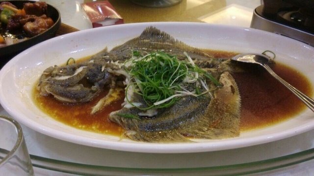 清蒸多宝鱼
