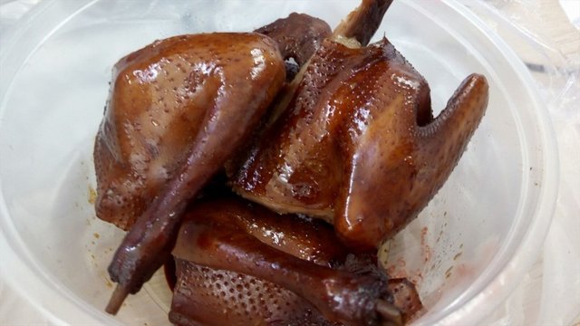 卤水乳鸽