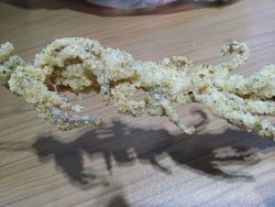 鱿鱼须