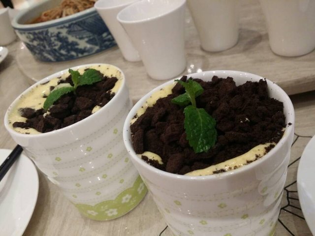 盆栽奶茶