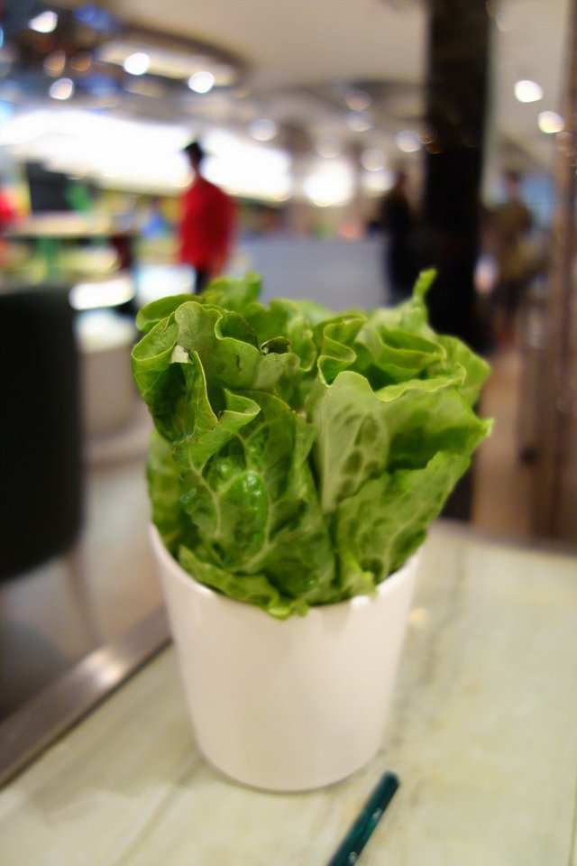 生菜
