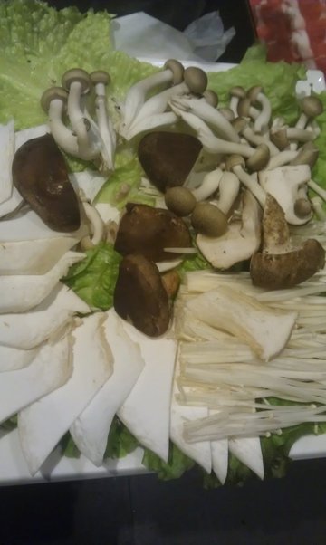 蘑菇