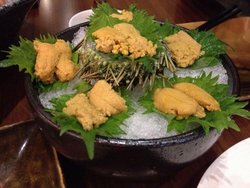 海胆
