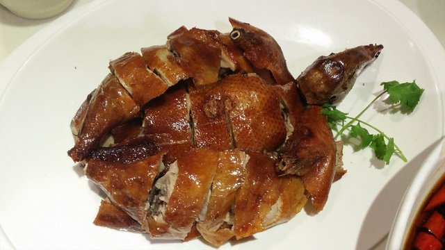 乳鸽