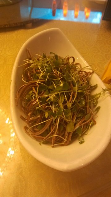 凉拌千丝