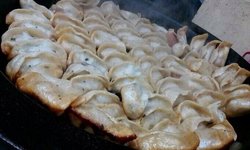 鲜肉锅贴